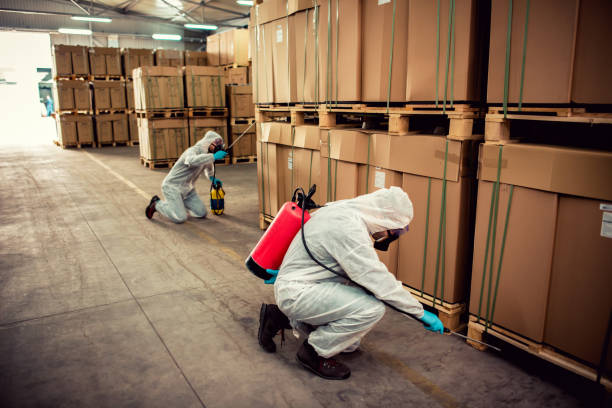 Best Best Pest Control Companies  in Heber Springs, AR
