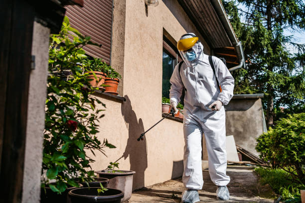 Best Ant Control Services  in Heber Springs, AR