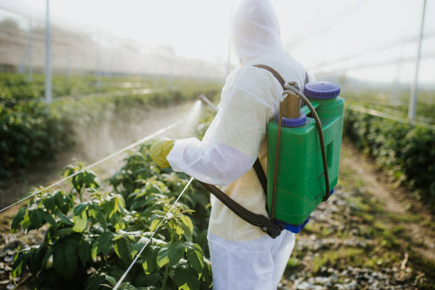 Best Best Pest Control Companies  in Heber Springs, AR